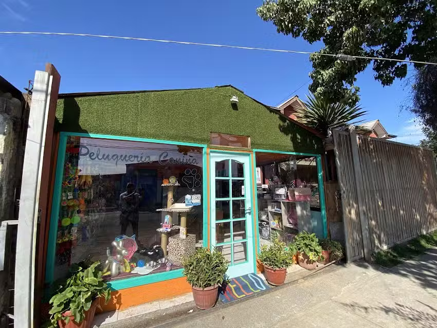 peluquer&iacute;a canina caniche Brothers