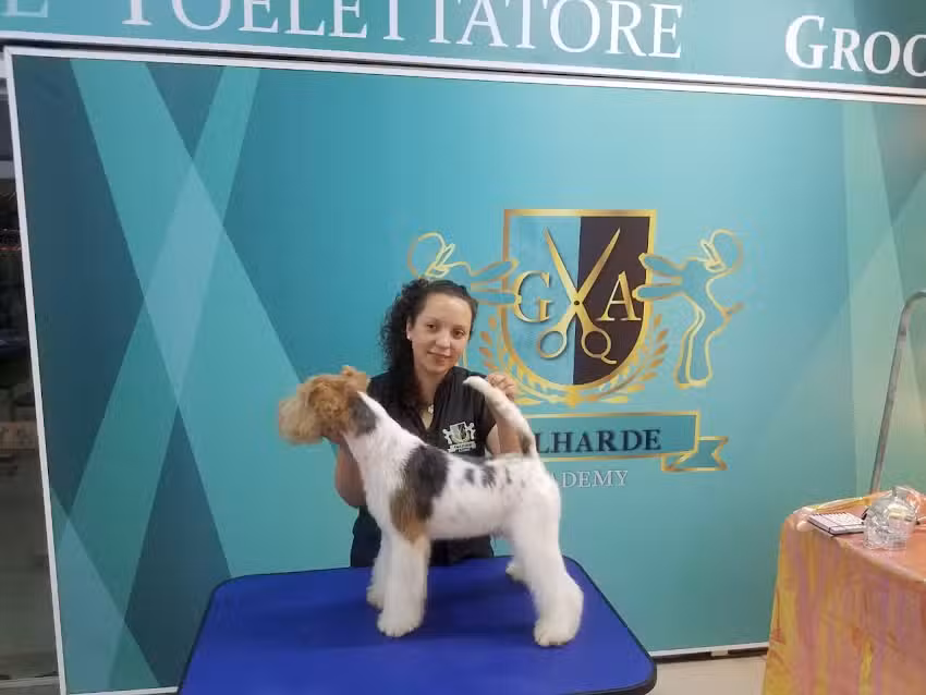 Peluquer&iacute;a Canina Coquetoscan