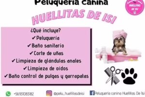 Peluquería canina huellitas de isi
