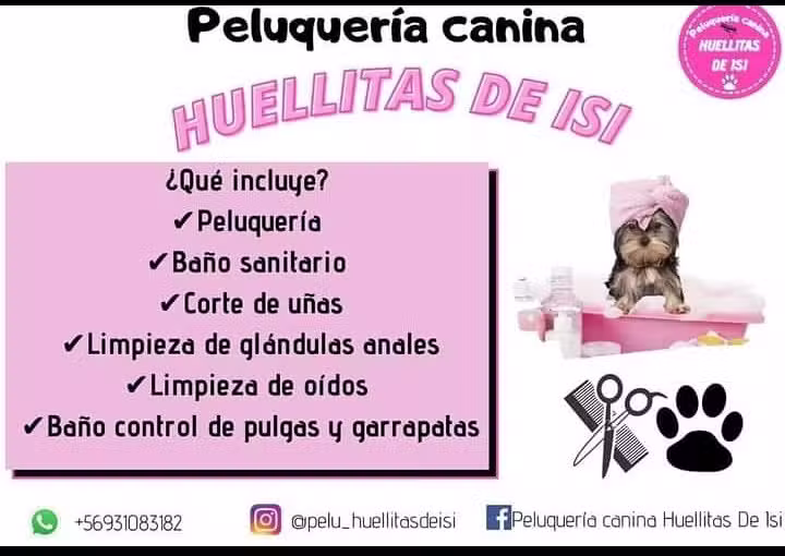 Peluquer&iacute;a canina huellitas de isi