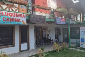 Peluqueria canina &ldquo;La Perruqueria de Batuco&rdquo;