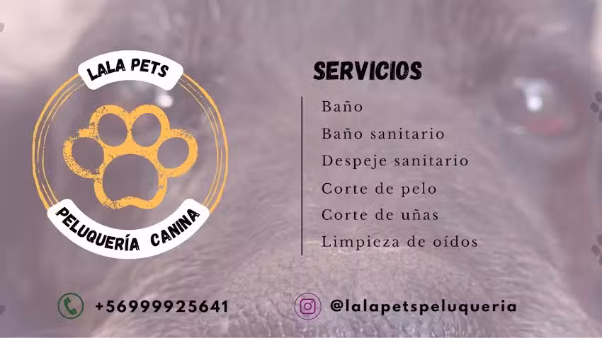 Peluquer&iacute;a canina Lala Pets