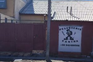 Peluquer&iacute;a canina Lucky&rsquo;Style