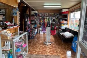 Peluquería Canina Mundo MasCotas Puerto Montt