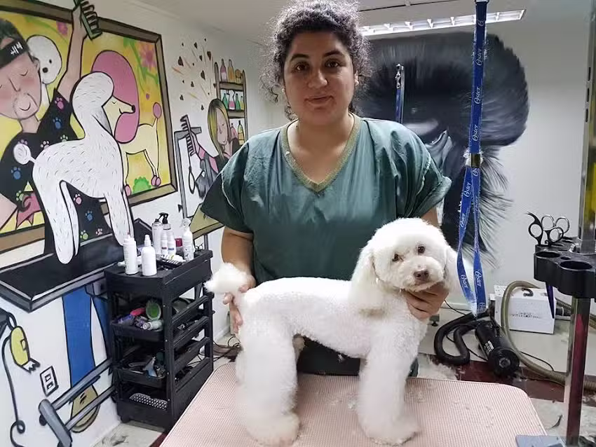 Peluqueria Canina OhMyGuauu