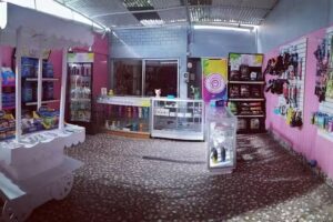 Peluqueria canina Perruqueria De Oroy