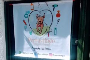 Peluqueria Canina Perrustingo