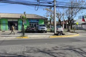 Peluquer&iacute;a canina Pet Thomas