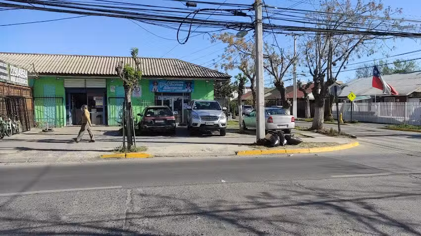 Peluquer&iacute;a canina Pet Thomas