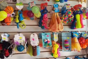 Peluqueria Canina Punto Dogs