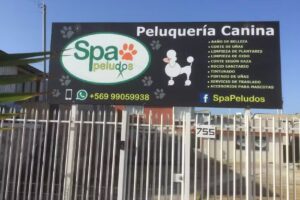 Peluquer&iacute;a Canina SpaPeludos