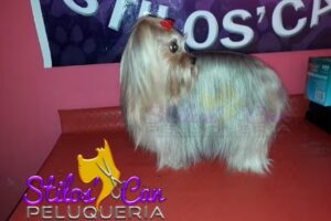 Peluquer&iacute;a canina Stilos&rsquo;can