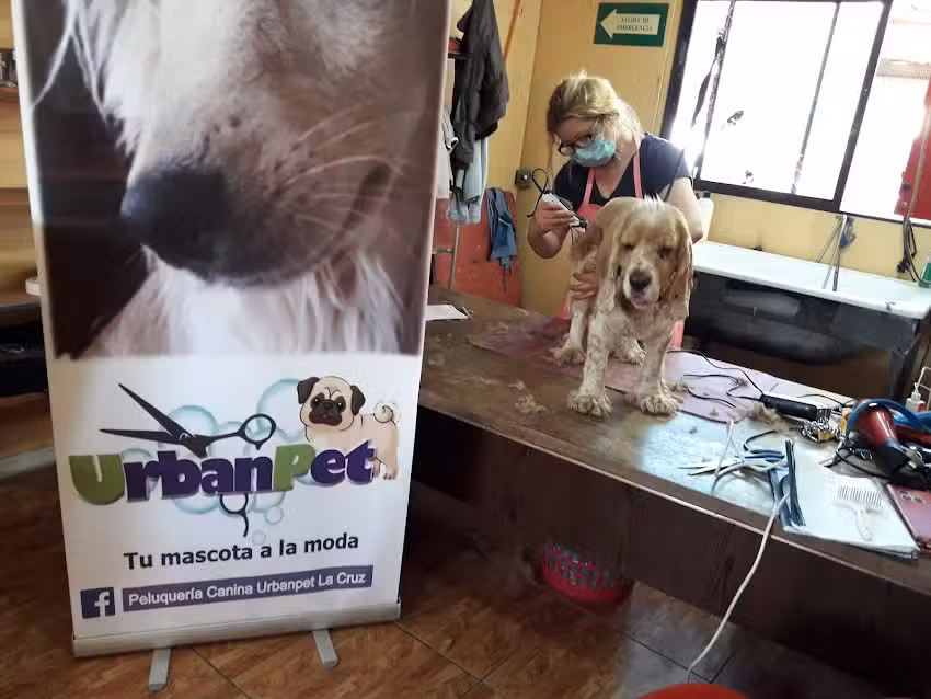 Peluqueria Canina UrbanPet La Cruz