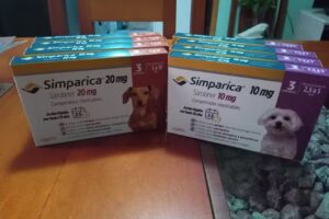 peluquer&iacute;a Canina y cursos M&M