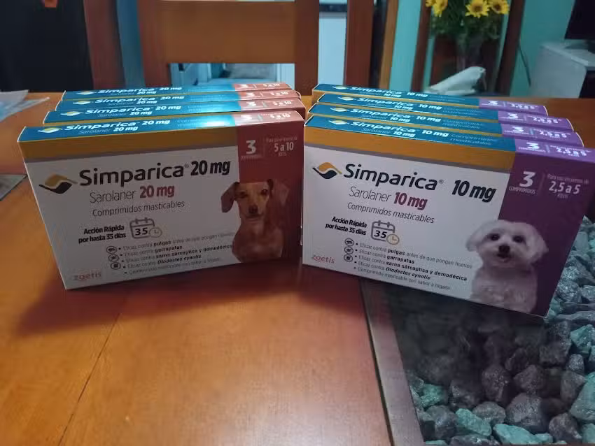 peluquer&iacute;a Canina y cursos M&M