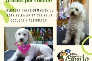 PELUQUER&Iacute;A CANINA Y PETSHOP CANITO