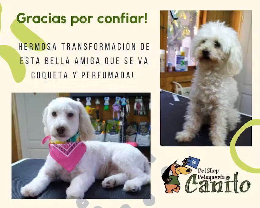 PELUQUER&Iacute;A CANINA Y PETSHOP CANITO