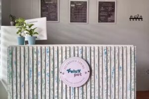 PELUX PET &ndash; Veterinaria Preventiva &ndash; Peluquer&iacute;a Canina &ndash; Art&iacute;culos para mascotas