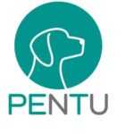 Pentu