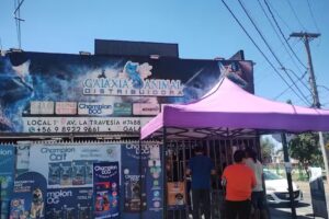 Pepe El Outlet De Las Mascotas