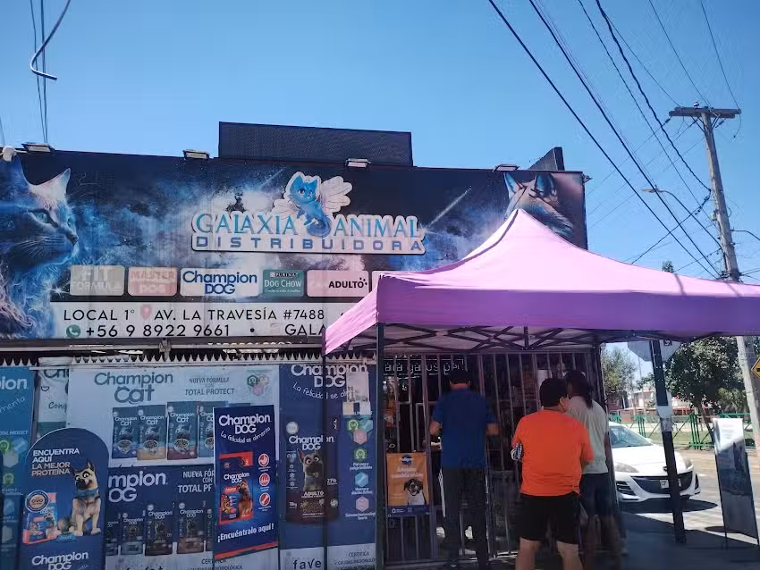 Pepe El Outlet De Las Mascotas