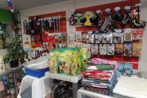 Perruqueria Mascotitas style