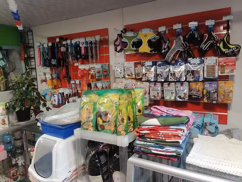 Perruqueria Mascotitas style