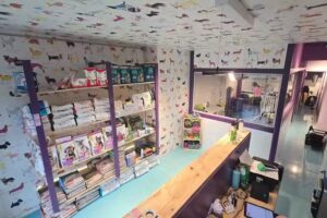 Pet Beauty Av. Apoquindo