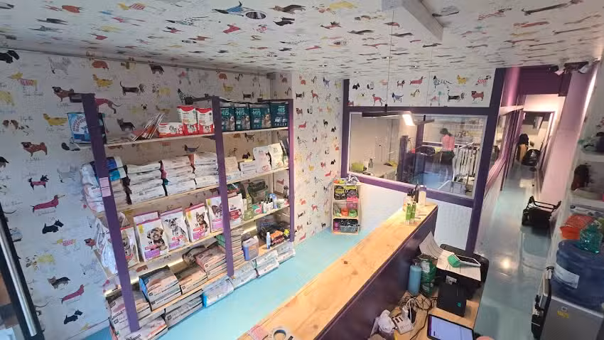 Pet Beauty Av. Apoquindo