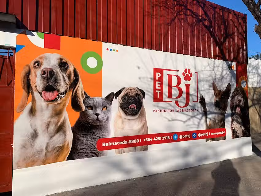 Pet BJ &ndash; MiaVet