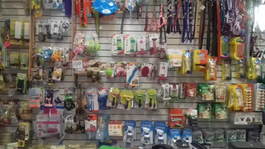 Pet Happy San Bernardo