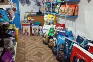 PET JUNIOR VENTA DE ALIMENTOS PARA MASCOTAS