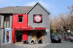 Pet Phone &ndash; Todo en alimento para mascotas