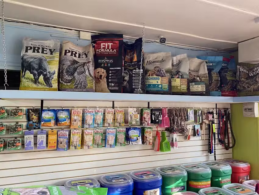 Pet Shop GeoSurChile