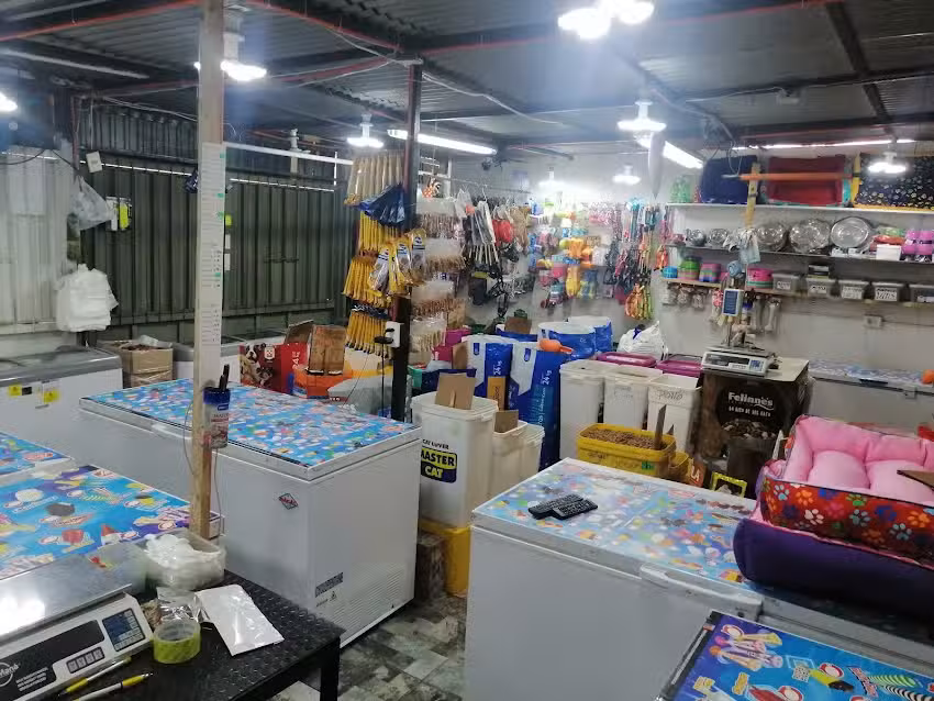 Pet shop lul&uacute;