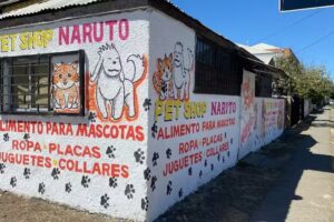 Pet Shop Naruto