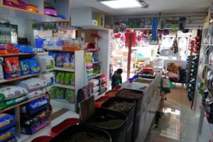 Pet Shop Revolution Pet