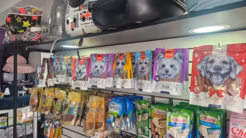 Pet Shop Tu + Kota Iquique