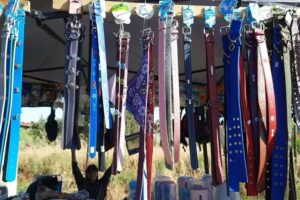 Pet Store on the Road