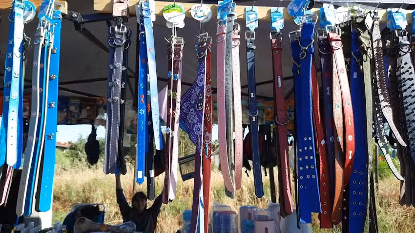 Pet Store on the Road