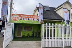 PET UNIVERSE &ndash; Peluquer&iacute;a de Mascotas & Hotel Canino