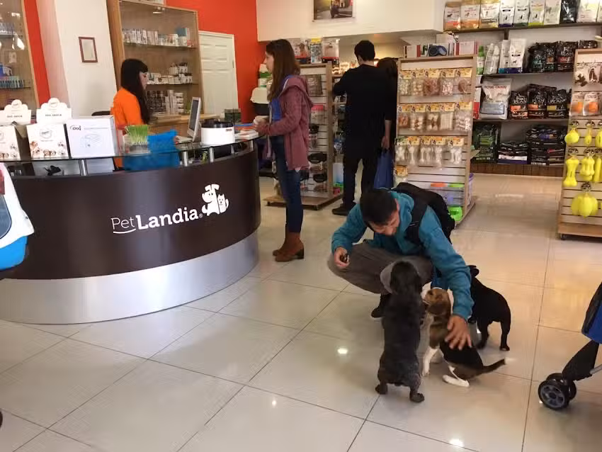 Petlandia Chile