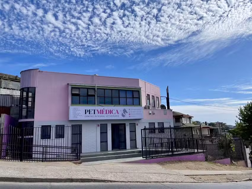 Petm&eacute;dica CIV.