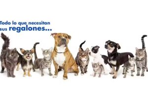 Pets en Recoleta Comercial Capricci Alimentos y Accesorios para Mascotas