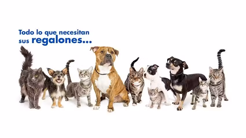 Pets en Recoleta Comercial Capricci Alimentos y Accesorios para Mascotas