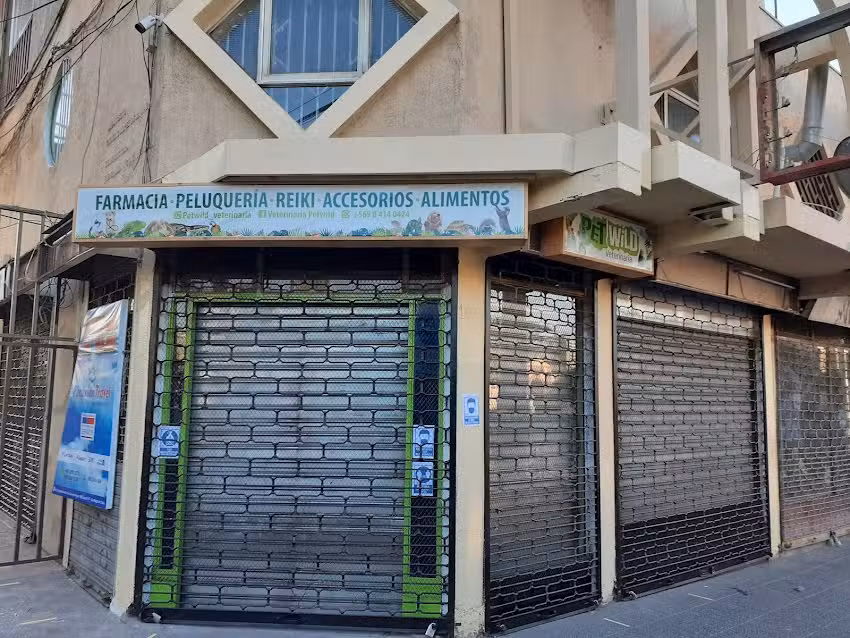 PetWild Chile Cl&iacute;nica Veterinaria