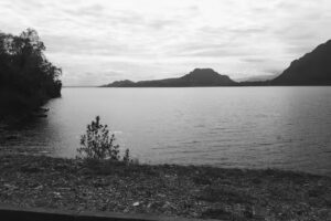 Piscicultura Nilahue SpA