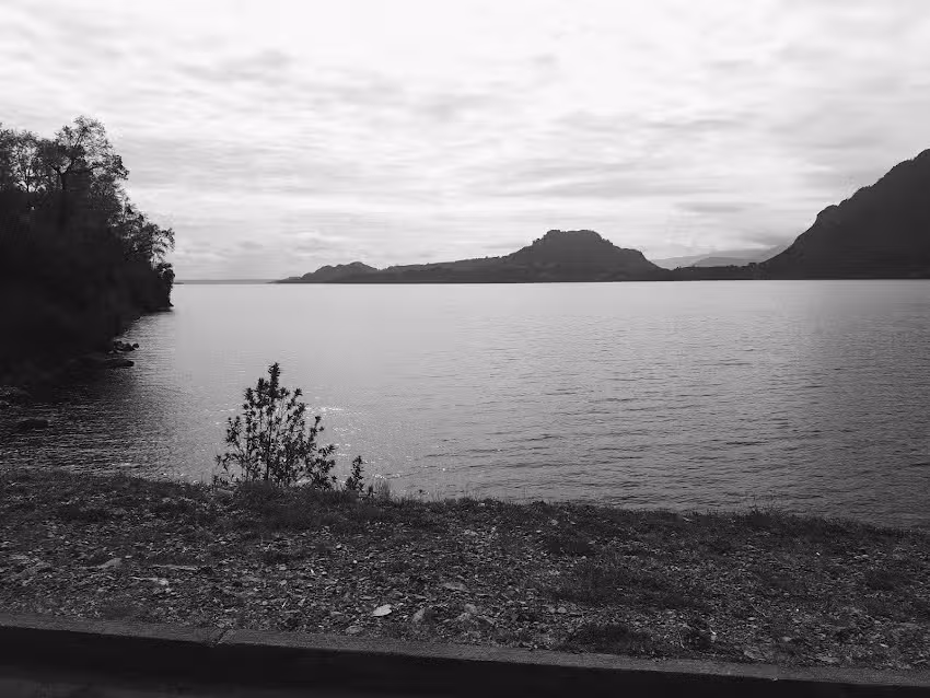 Piscicultura Nilahue SpA