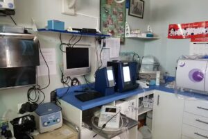 PRESTACIONES VETERINARIAS SAN JAVIER