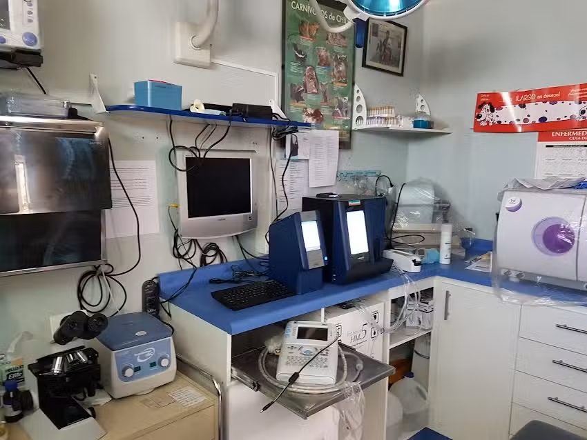 PRESTACIONES VETERINARIAS SAN JAVIER